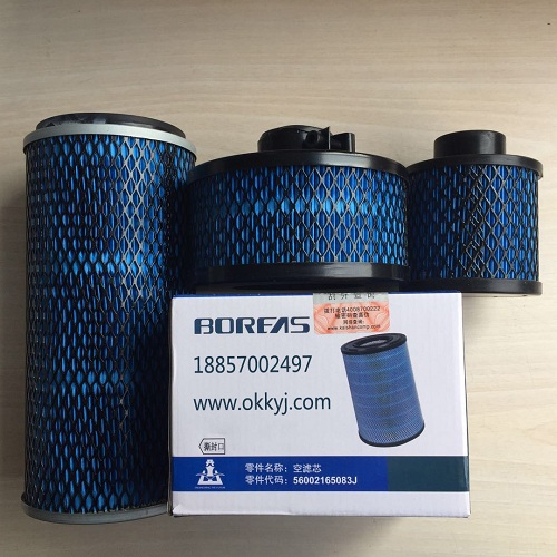 開山空(kong)氣濾芯_螺杆空(kong)壓機空濾總成(cheng)