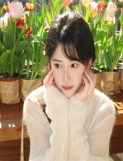 全面解析：《沼泽狂鲨》的音乐配乐与声音设计——影视专业人士深度解读